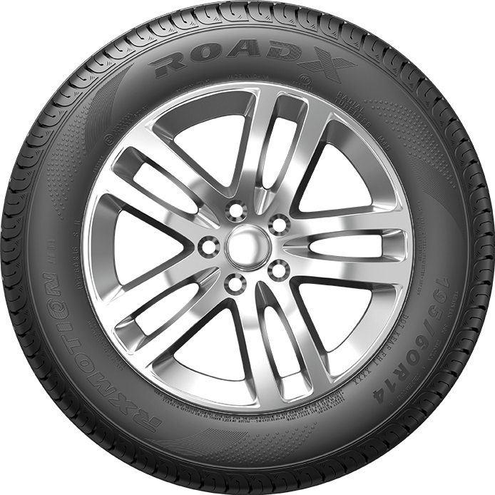 ROADX Z195/55 R16 RXFROST WH01 87V